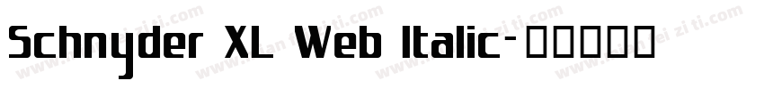 Schnyder XL Web Italic字体转换